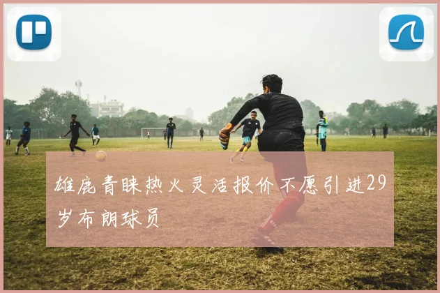 雄鹿青睐热火灵活报价不愿引进29岁布朗球员